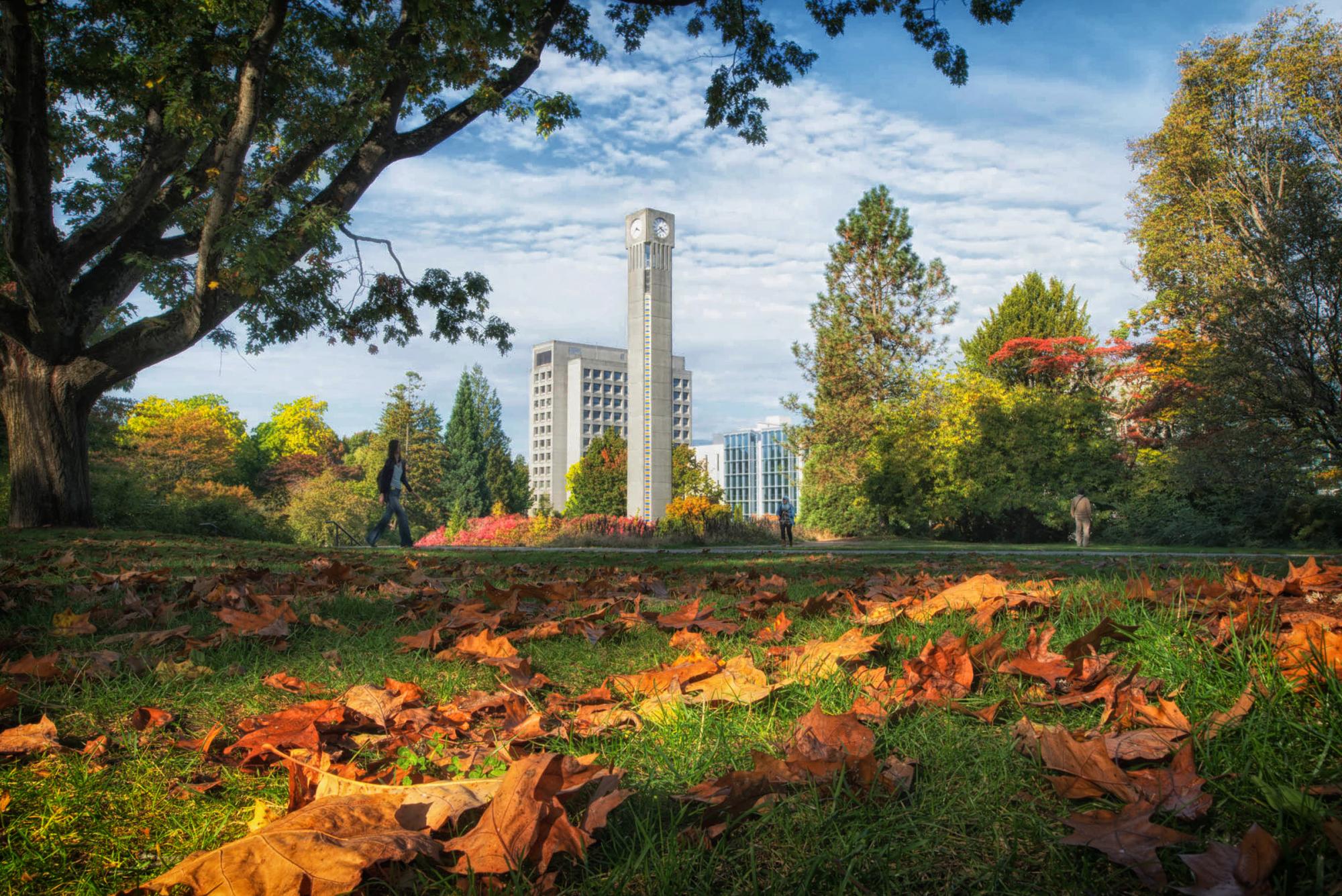 The UBC Clock Tower is the focus of the photo, with an autumnal scene of fallen leaves and grass and trees in the foreground