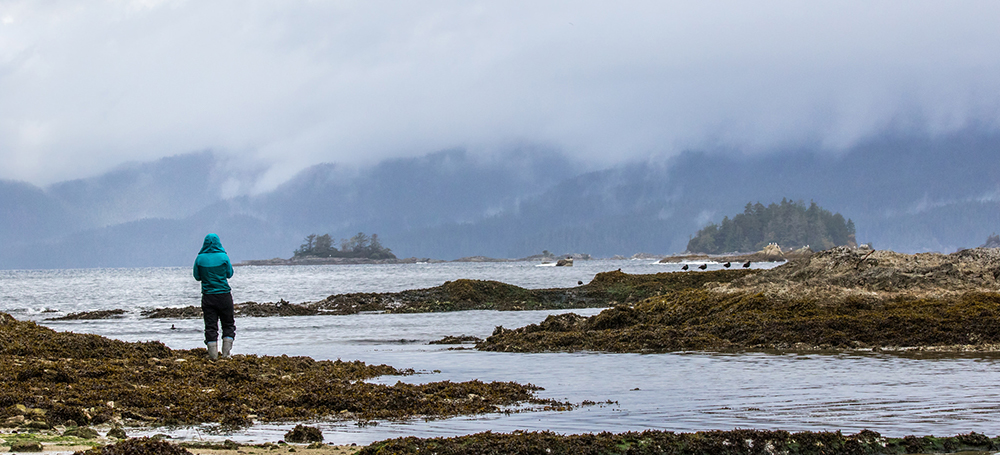 A person in a blue rain-jacket stands on a beach, looking out at a foggy inlet